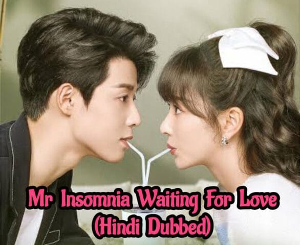 Mr Insomnia Waiting For Love (Hindi Dubbed) | Complete