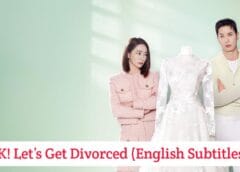 OK! Let’s Get Divorced (English Subtitles) | Complete OK! Let’s Get Divorced (English Subtitles) | Complete