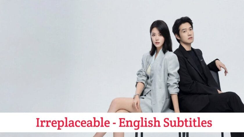 Irreplaceable (English Subtitles) | Complete